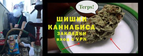 PSILOCYBIN Белоозёрский