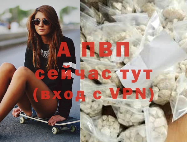 спайс Беломорск