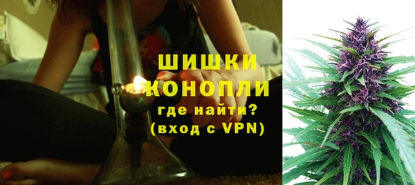 ALPHA PVP Белокуриха