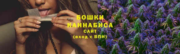 PSILOCYBIN Белоозёрский