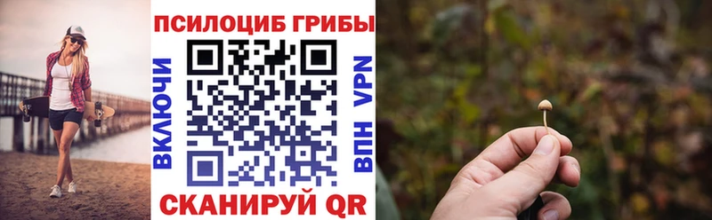 Псилоцибиновые грибы Psilocybine cubensis  shop наркотические препараты  Няндома 