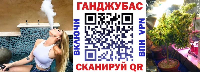 omg как зайти  сколько стоит  Няндома  Марихуана сатива 